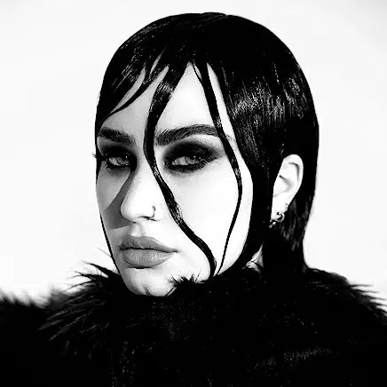 61+Riqh-zcL._AC_UY436_FMwebp_QL65_