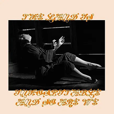 81EdGU1MkWL._AC_UY436_FMwebp_QL65_