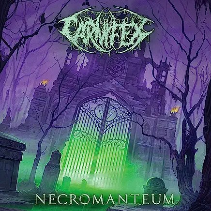 A1U42VtOTYL._AC_UY436_FMwebp_QL65_